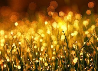 L’ABONDANCE (2ème partie)